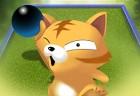 Cat Bowling